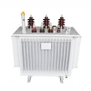 S11-M-30/10-0.4 Fully Sealed Oil Immersed Distribution Transformer (30kVA, 10/0.4kV)