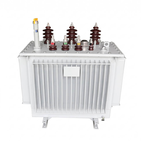 S11-M-30/10-0.4 Fully Sealed Oil Immersed Distribution Transformer (30kVA, 10/0.4kV)